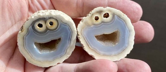 神奇大自然 巴西天然矿石切开酷似经典芝麻街曲奇小怪物