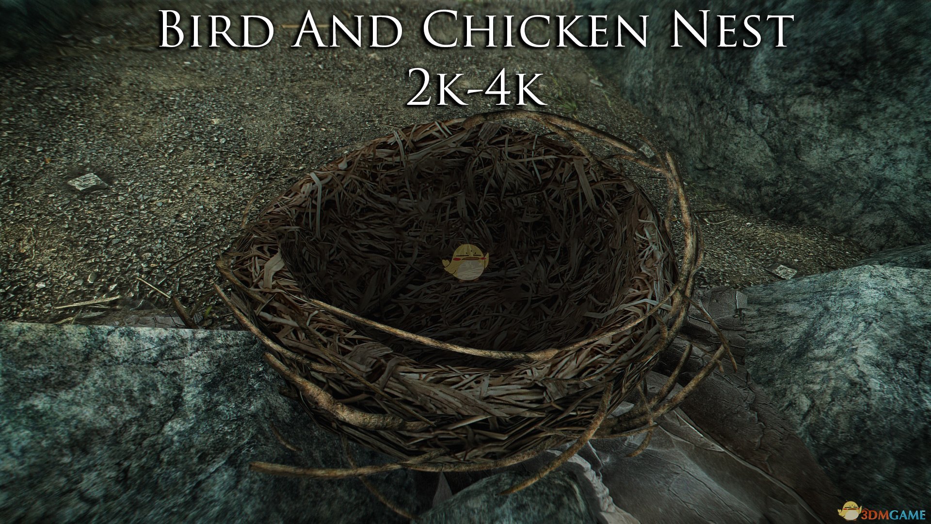 《上古卷轴5：天际重置版》4K鸟巢鸡巢MOD