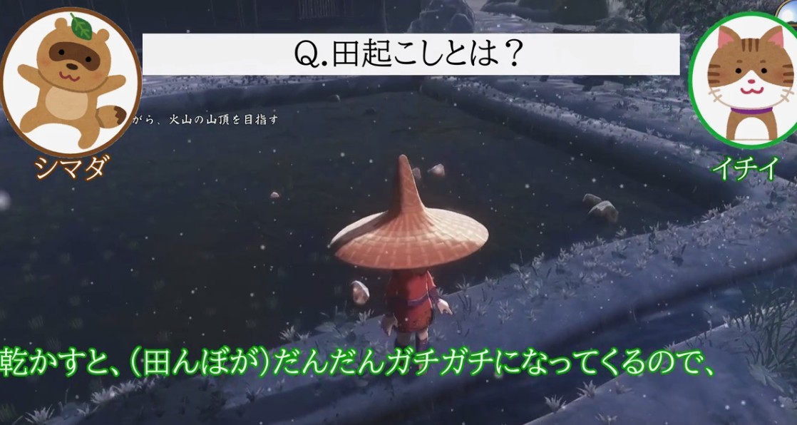 日本农家玩《天穗之咲稻姬》详尽对比真假种稻米
