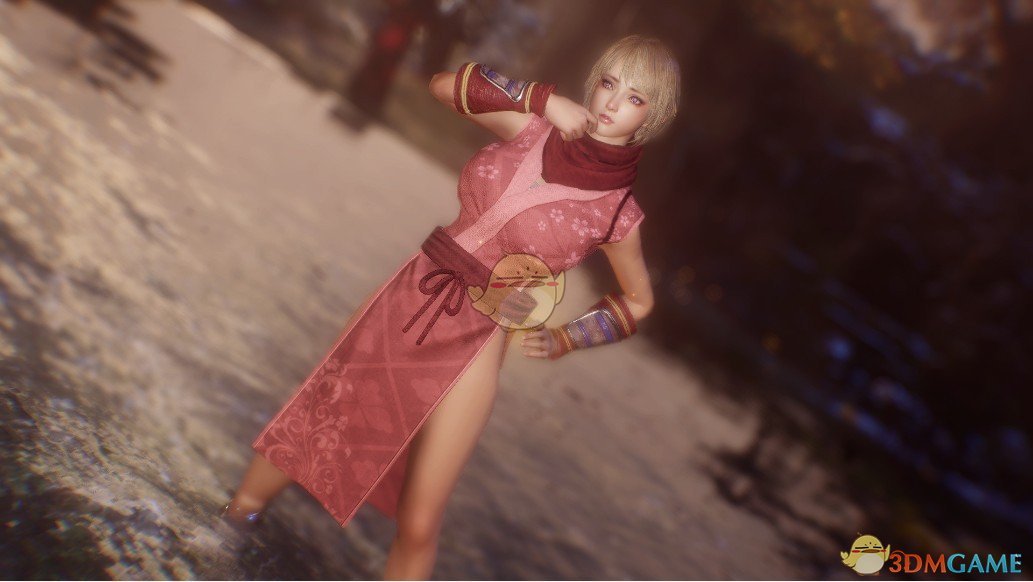 《仁王2》性感忍者阴阳师长袍MOD