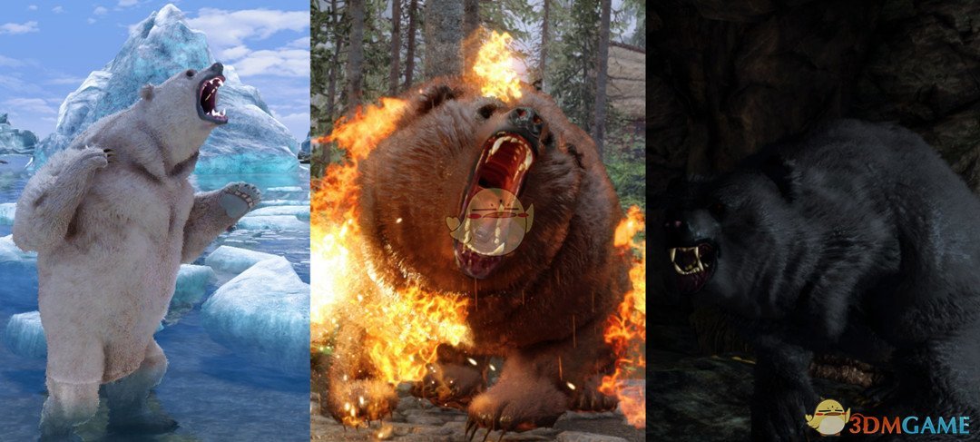 《上古卷轴5：天际》熊的纹理大修MOD