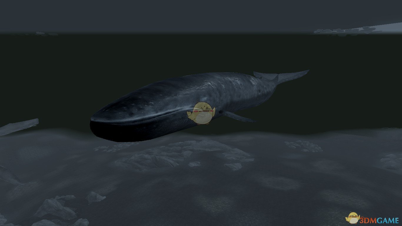 《上古卷轴5：天际重置版》蓝鲸MOD