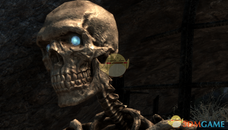 《上古卷轴5：天际》高清的骷髅纹理MOD