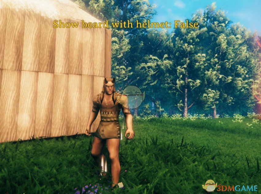 《Valheim：英灵神殿》头发头盔和胡须显示切换功能MOD