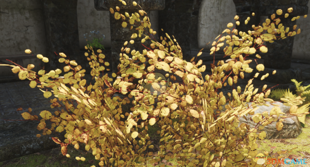 《上古卷轴5：天际重置版》秋季高清灌木丛纹理MOD