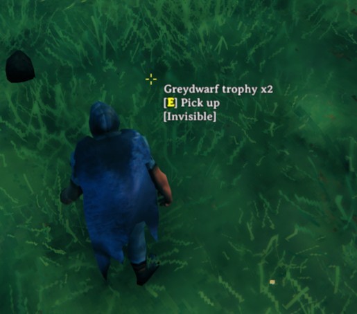 《Valheim：英灵神殿》拾取过滤MOD