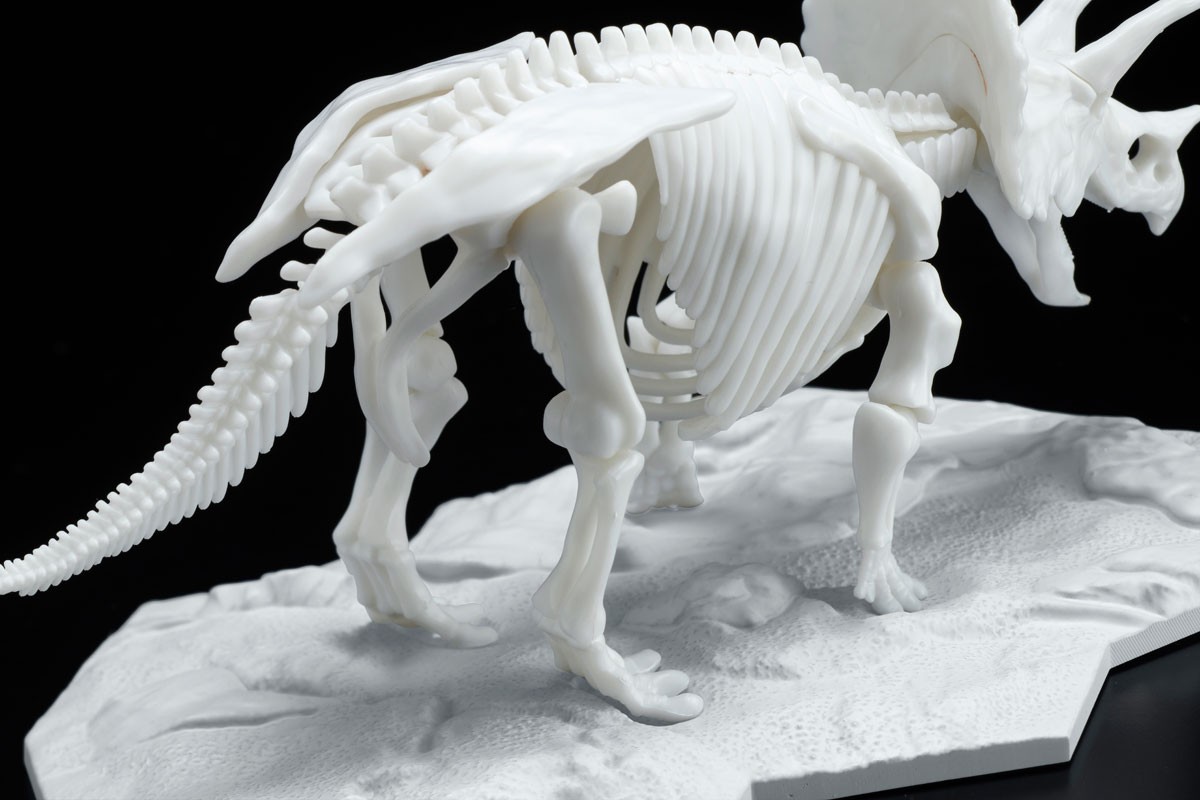 万代公布全新恐龙骨骼拼装模型 新石灰石原料助力环保