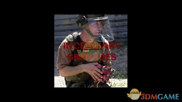 《僵尸毁灭工程》燃烧手榴弹MOD