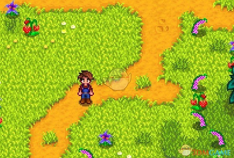 《星露谷物语》觅食扩展MOD