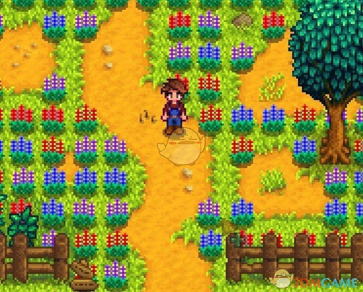 《星露谷物语》觅食扩展MOD