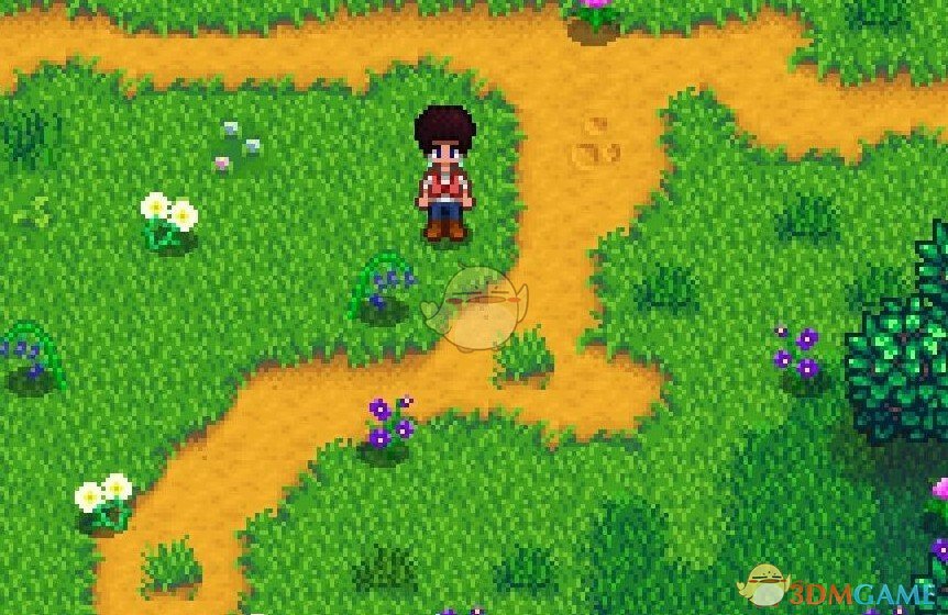 《星露谷物语》觅食扩展MOD