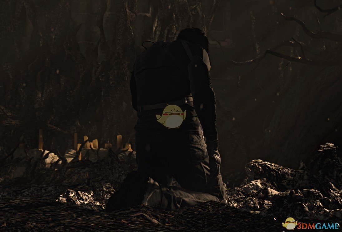 《生化危机8》作战服伊森MOD