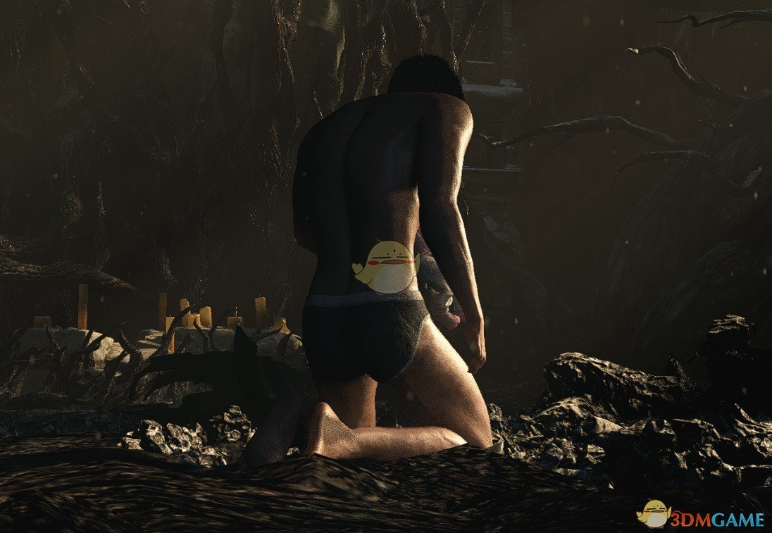 《生化危机8》内裤猛男伊森MOD