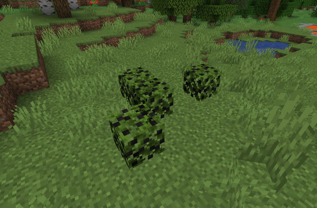 《我的世界》1.17.1更多浆果MOD