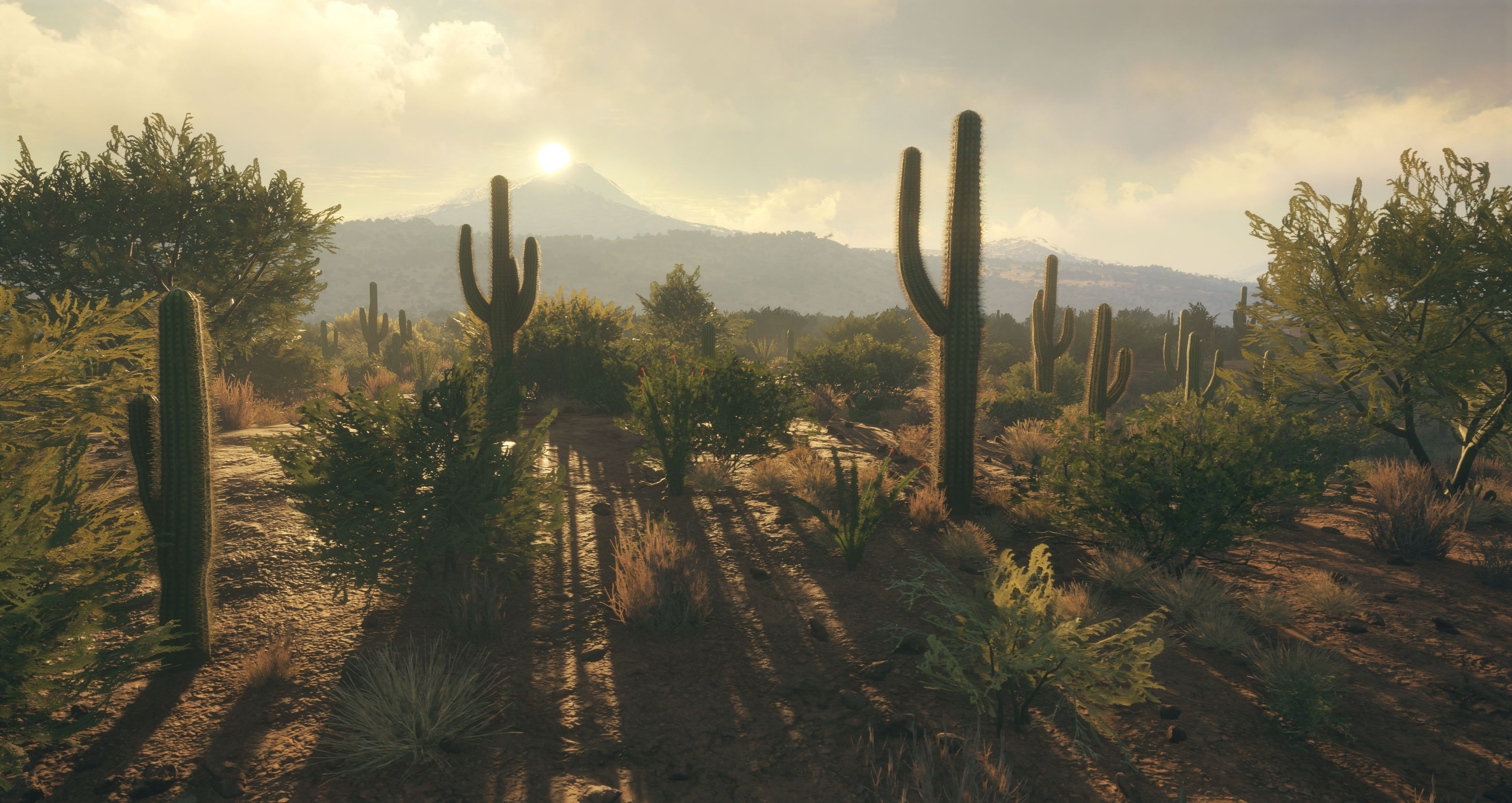 《猎人：荒野的召唤》的全新DLC即将上线 沙漠环境下狩猎