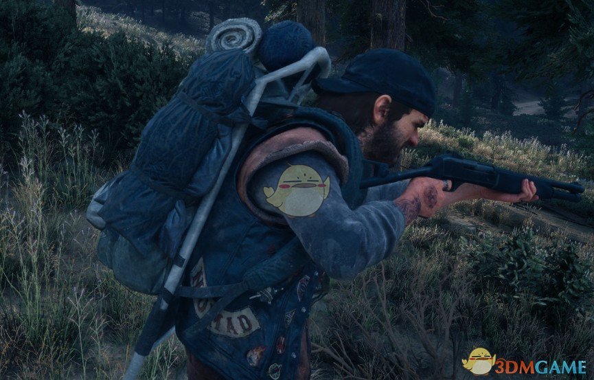 《往日不再》大型背包MOD