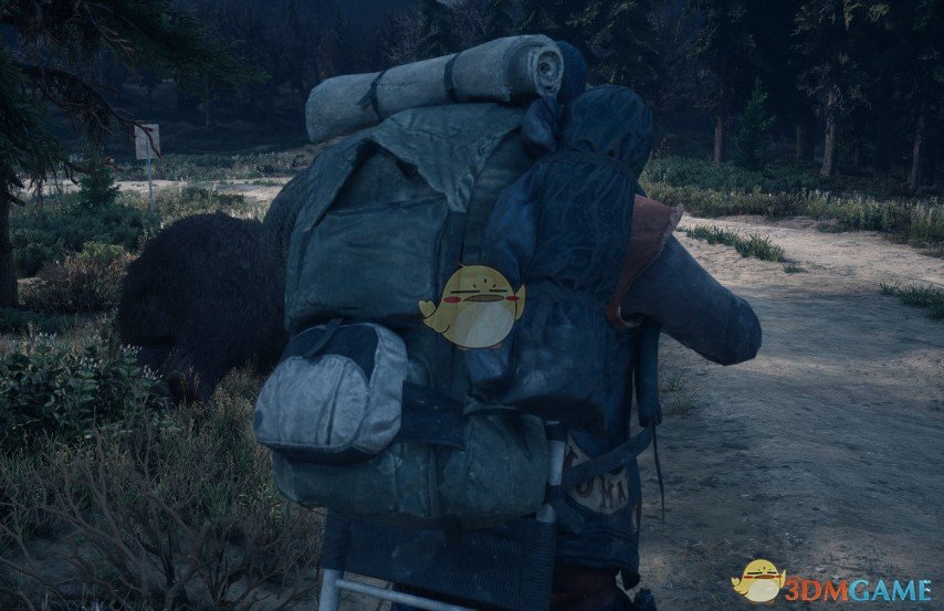 《往日不再》大型背包MOD