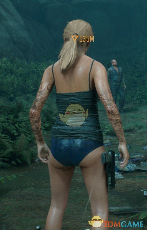 《往日不再》内衣莎拉MOD