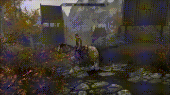 《上古卷轴5：天际重置版》驯服一匹马MOD