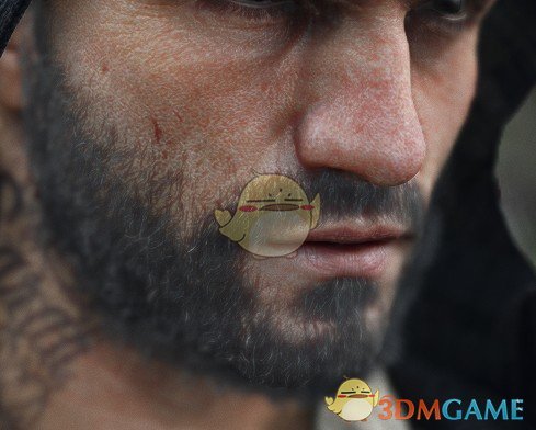 《往日不再》灰色胡须MOD