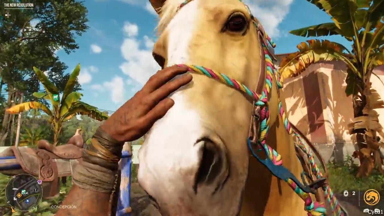《孤岛惊魂6》新实机视频 玩家与动物互动展示