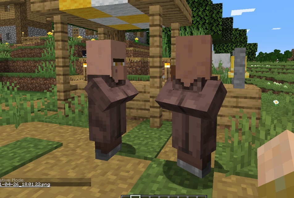 《我的世界》1.17.1NPC外观包MOD