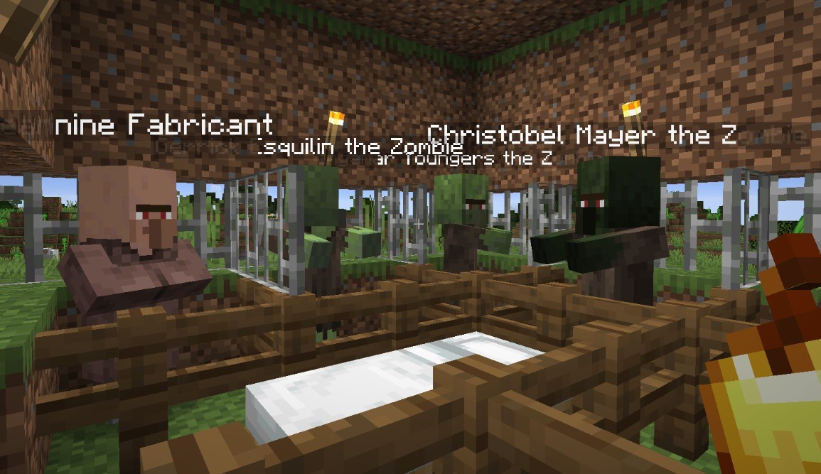 《我的世界》1.17.1NPC外观包MOD