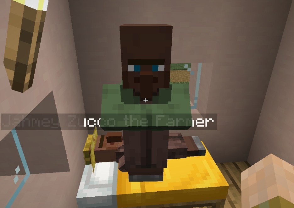 《我的世界》1.17.1NPC外观包MOD