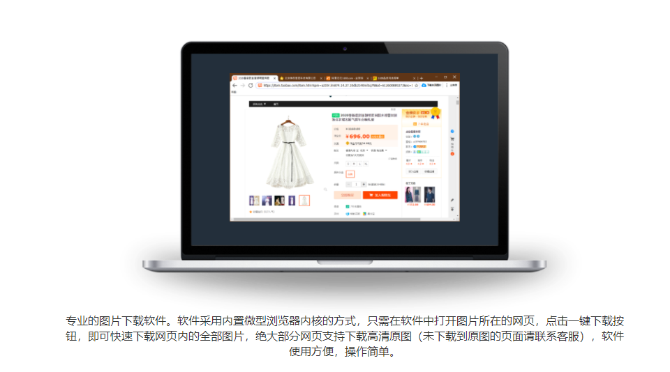 神奇网页图片下载机