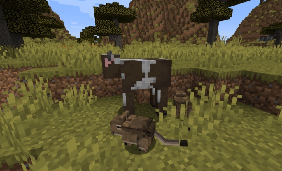 《我的世界》1.17.1八齿鼠MOD