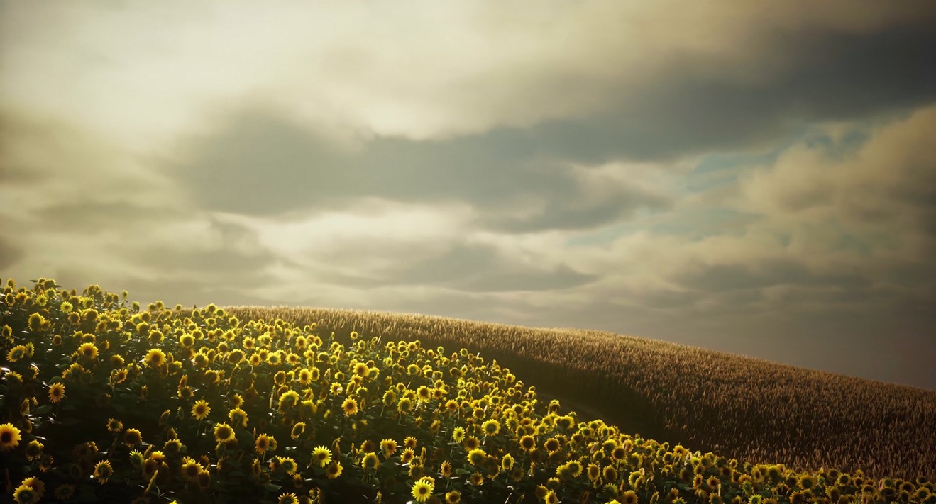 《Wallpaper Engine》向日葵田航拍动态壁纸