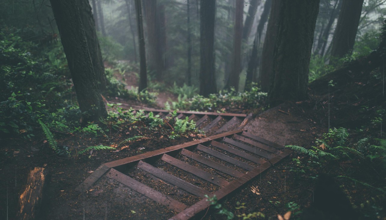 《Wallpaper Engine》雨天林中石梯动态壁纸