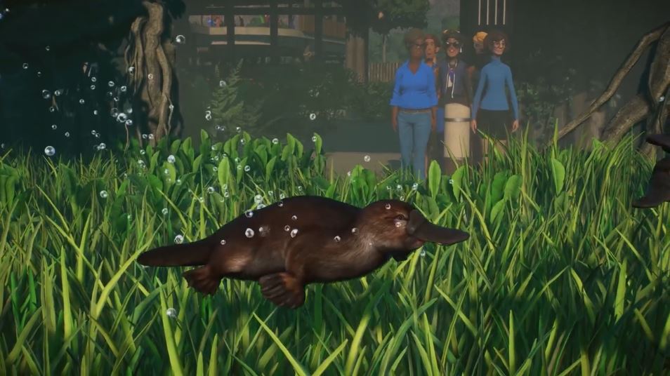 《动物园之星》湿地DLC公布 新增水豚和鸭嘴兽等