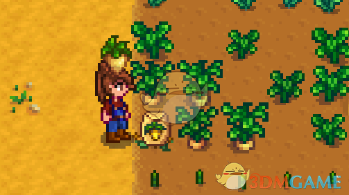 《星露谷物语》收货作物有几率掉落种子MOD