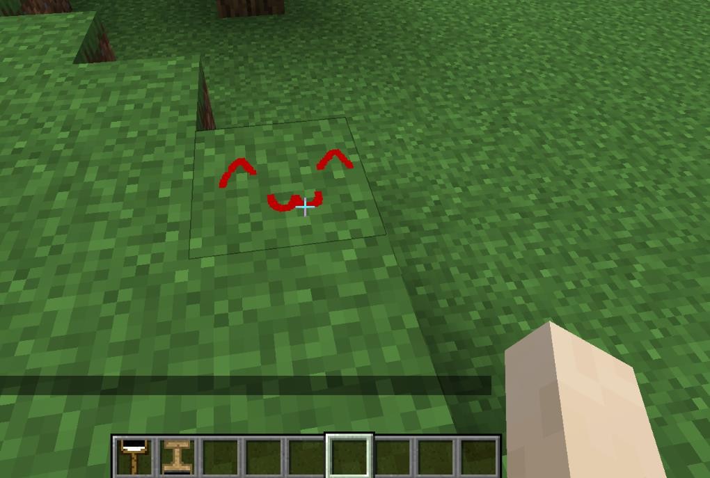 《我的世界》1.16.5随意涂鸦MOD