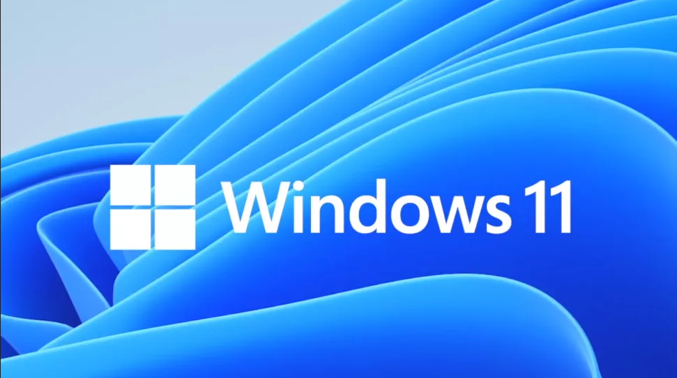 Win11预览更新导致部分微软商店应用无法运行