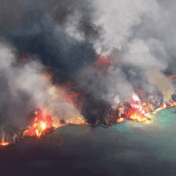 《Wallpaper Engine》大火中的小岛动态壁纸