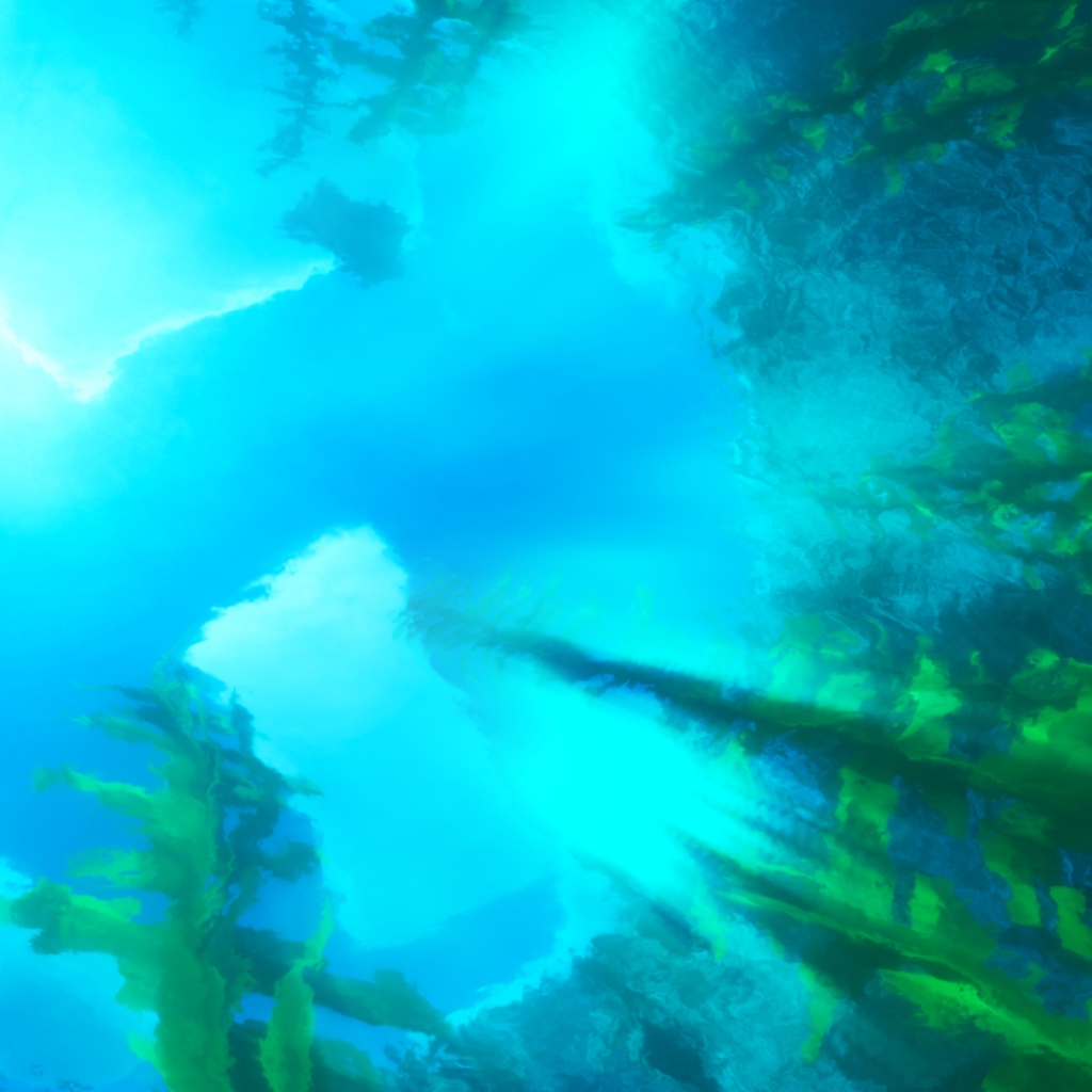 《Wallpaper Engine》我的世界高清材质水下视角动态壁纸