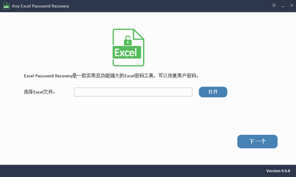 Any Excel Password Recovery9.9.8