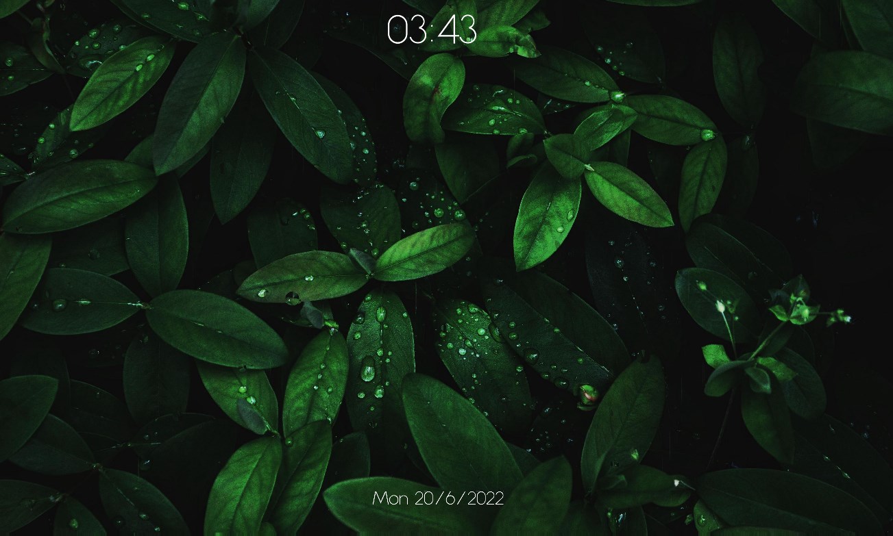 《Wallpaper Engine》雨水与绿叶记时动态壁纸