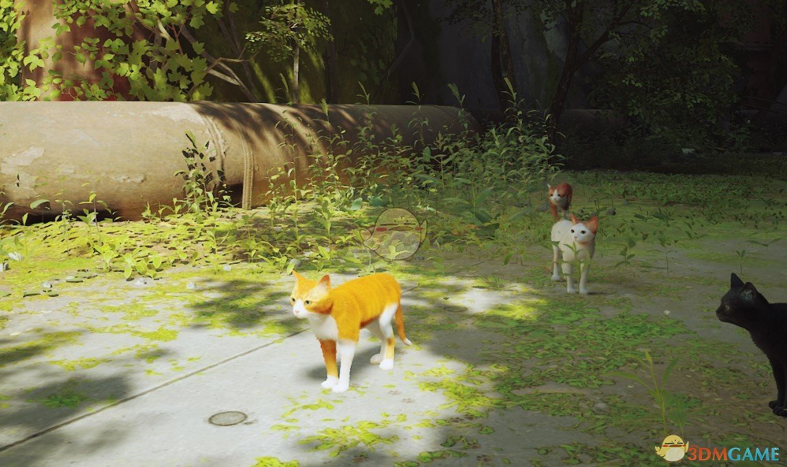《Stray》橘白猫MOD