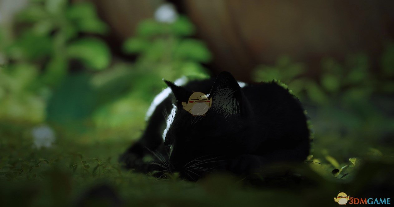 《Stray》黑猫MOD