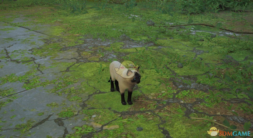 《Stray》暹罗猫MOD