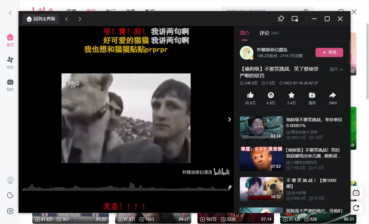哔哩哔哩官方PC客户端v1.3.1