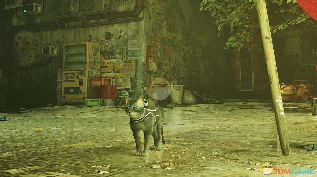 《Stray》灰毛猫MOD