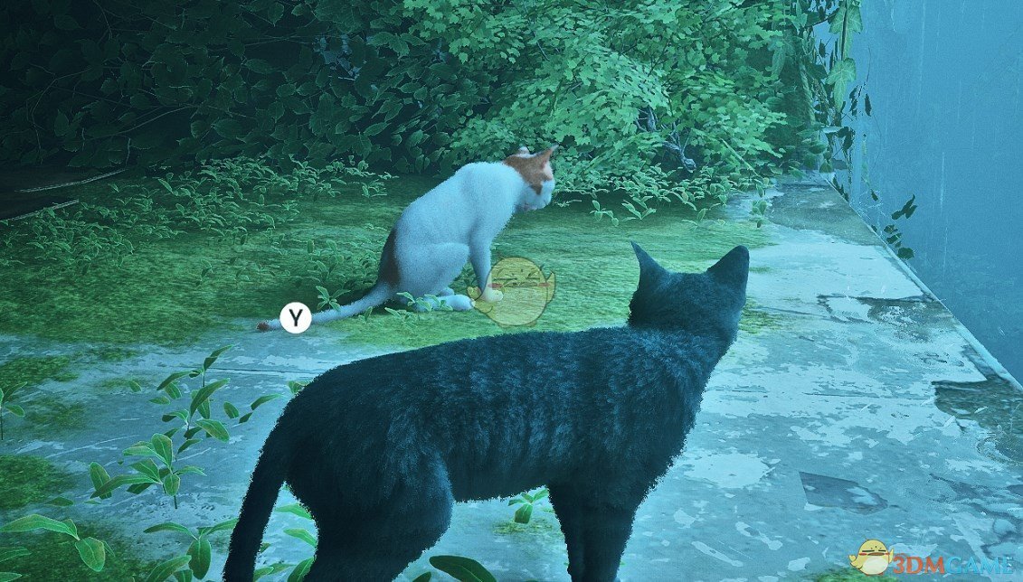 《Stray》灰毛猫MOD