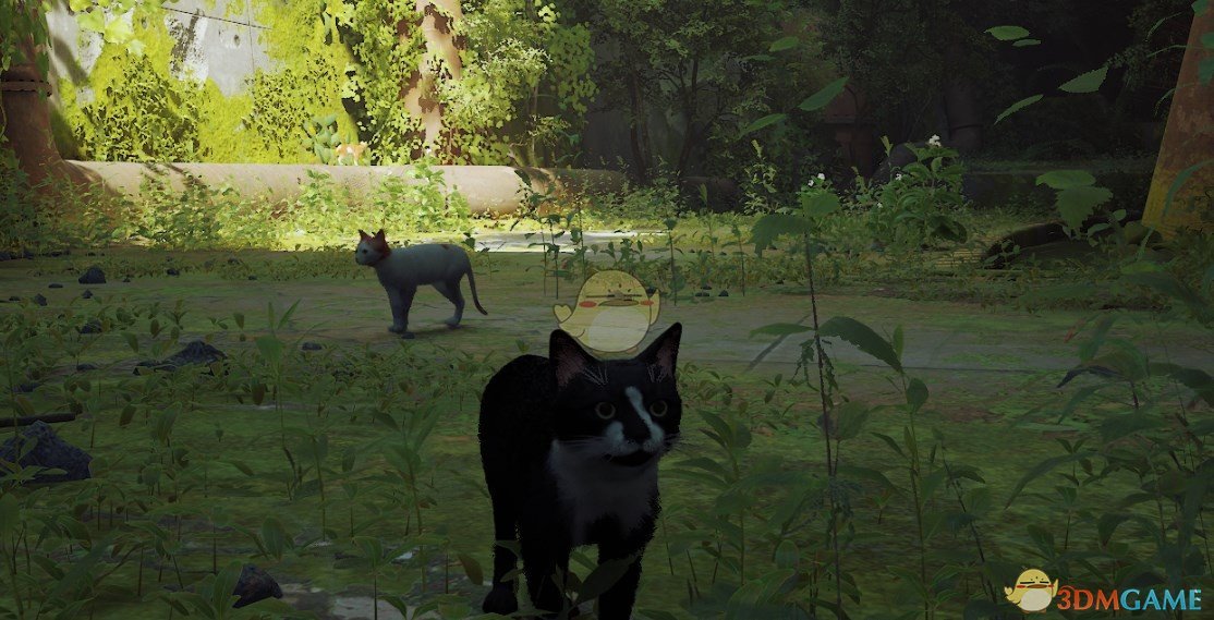 《Stray》加菲猫配色MOD