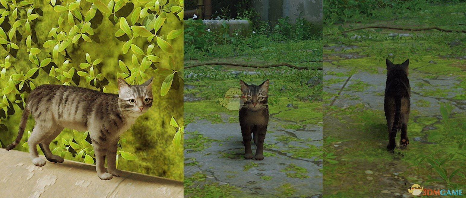 《Stray》灰色虎斑猫MOD