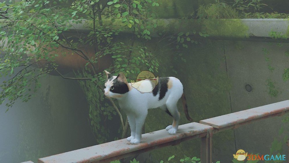 《Stray》印花布猫MOD