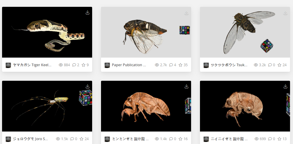 九州大学免费开源海量3D数字生物标本引赞 精细极致自由使用